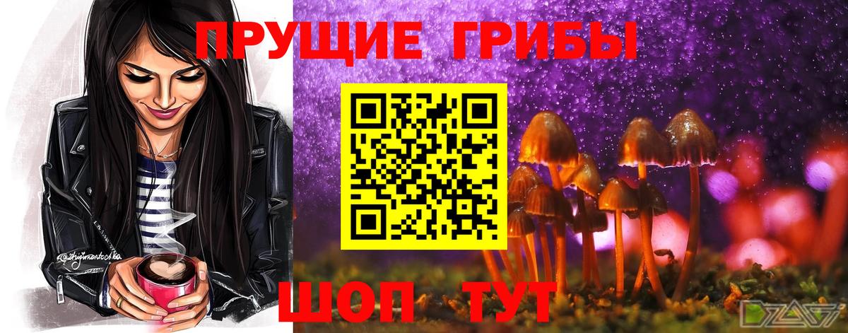 Галлюциногенные грибы Psilocybe  Псилоцибиновые грибы мухоморы  Юрга  Вход с VPN 